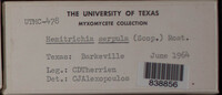 Image Associated With the Occurence